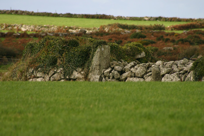 Image of Kerrow Bosullow (Standing Stone / Menhir) by ocifant