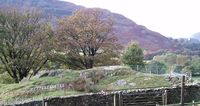 Image of Beckstones (Cup and Ring Marks / Rock Art) by pebblesfromheaven