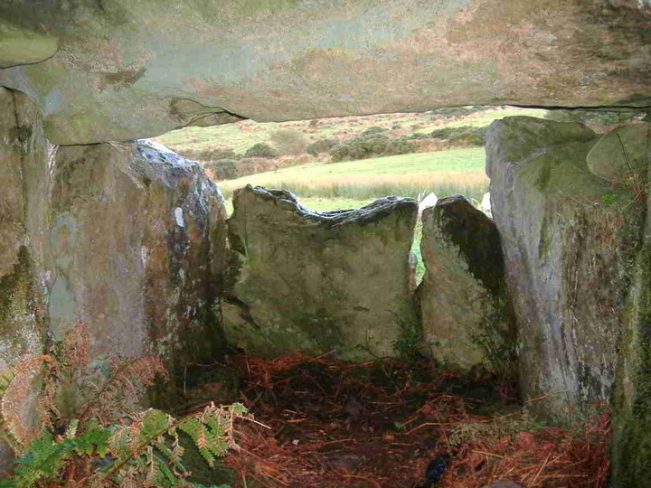 Image of Baurnadomeeny (Wedge Tomb) by bawn79