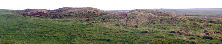 Image of The Five Hillocks (Barrow / Cairn Cemetery) by wideford