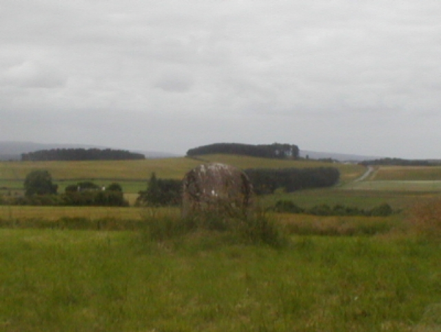 Image of Standing Stones of Urquhart (Stone Circle) by Chris