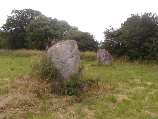 Image of Standing Stones of Urquhart (Stone Circle) by Chris