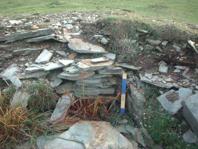 Image of Treligga Common (Barrow / Cairn Cemetery) by bergman