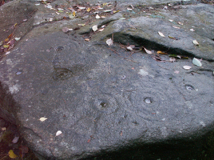 Image of Panorama Stone (Cup and Ring Marks / Rock Art) by rockartwolf