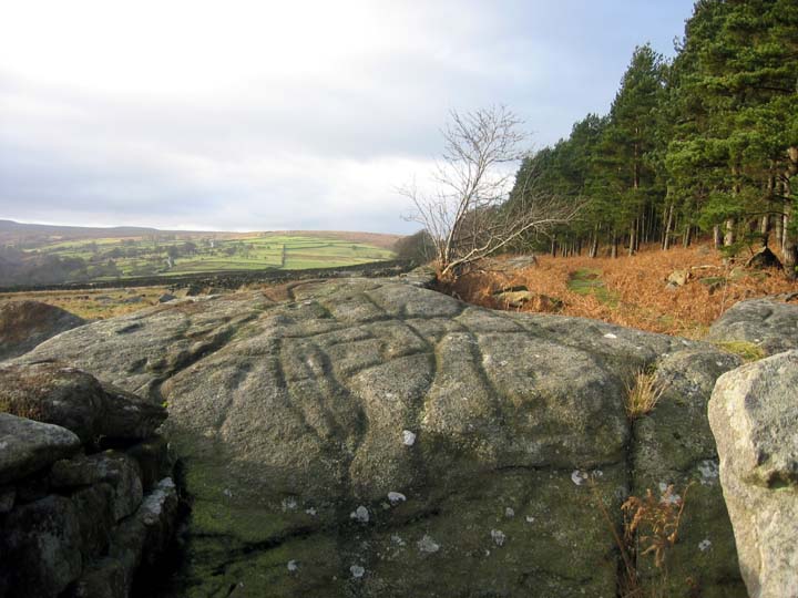 Image of West Agra (Cup and Ring Marks / Rock Art) by fitzcoraldo