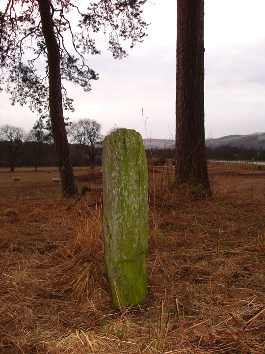 Image of Pitnacree (Round Barrow(s)) by BigSweetie