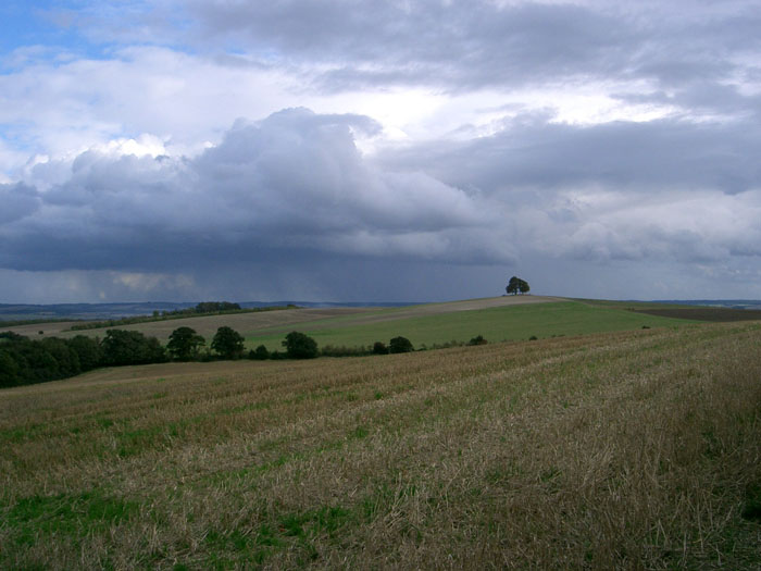 Image of Brightwell Barrow (Round Barrow) by seandfunk