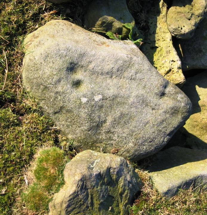 Image of Allan Tofts, Goathland (Cup and Ring Marks / Rock Art) by fitzcoraldo