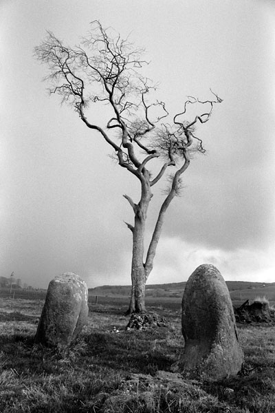 Image of Ettrick Bay (Stone Circle) by butephoto