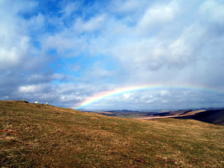 Image of Burgh Hill (Stone Circle) by rockartwolf