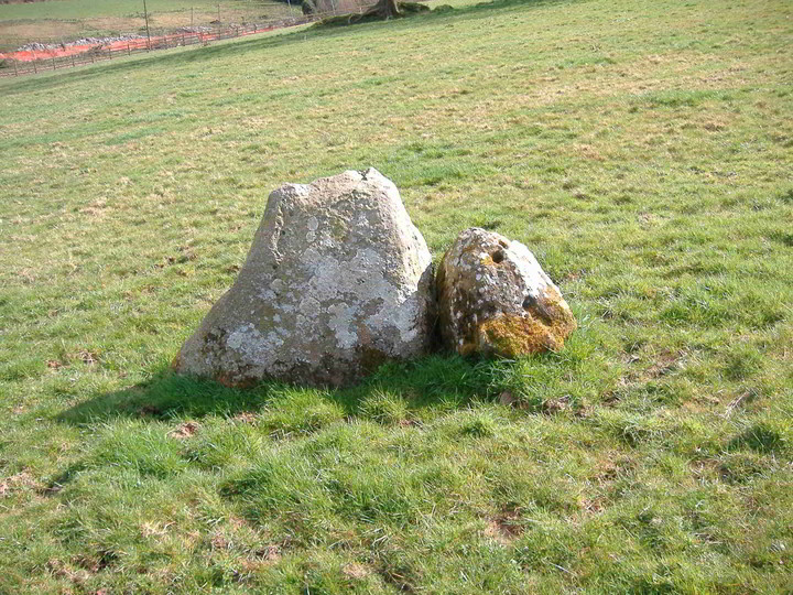 Image of Cappadine (Standing Stone / Menhir) by bawn79