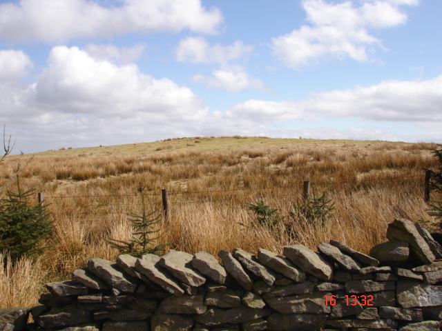 Image of White Brow (Cairn(s)) by Devine