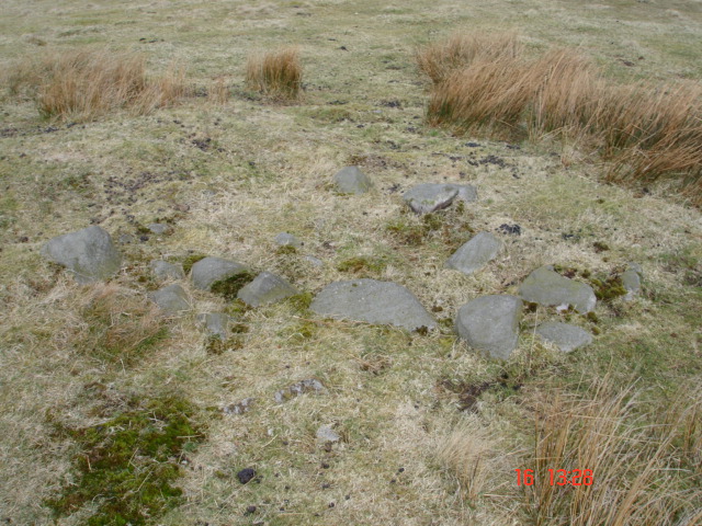 Image of White Brow (Cairn(s)) by Devine
