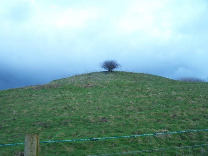 Image of Cross Gills Mound (Artificial Mound) by treehugger-uk