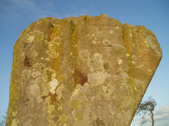 Image of The Warrior Stone (Standing Stone / Menhir) by rocknicker