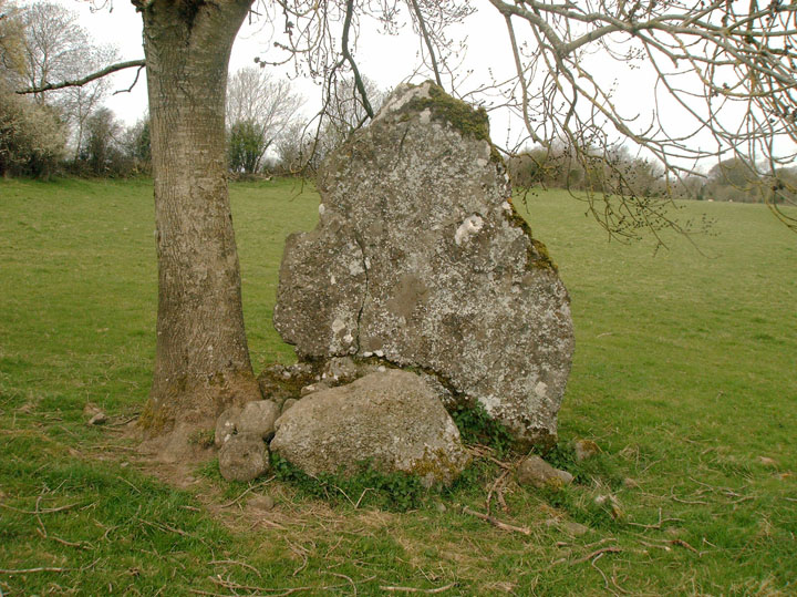 Image of Cartronbrack (Standing Stone / Menhir) by Alan Lee