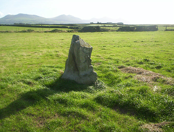 Image of Bodfan Menhir by hamish