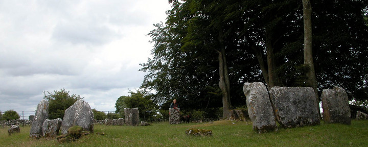 Image of Glebe (Stone Circle) by caealun