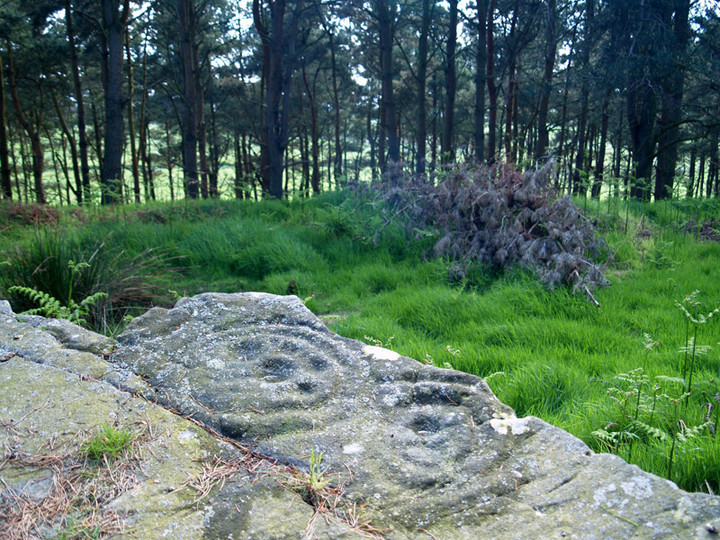 Image of Hare Law Crags (Cup and Ring Marks / Rock Art) by rockartwolf