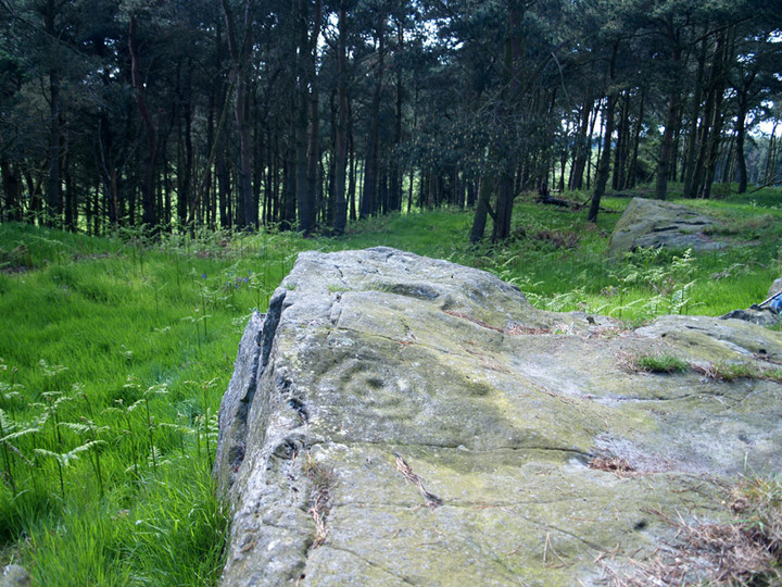 Image of Hare Law Crags (Cup and Ring Marks / Rock Art) by rockartwolf