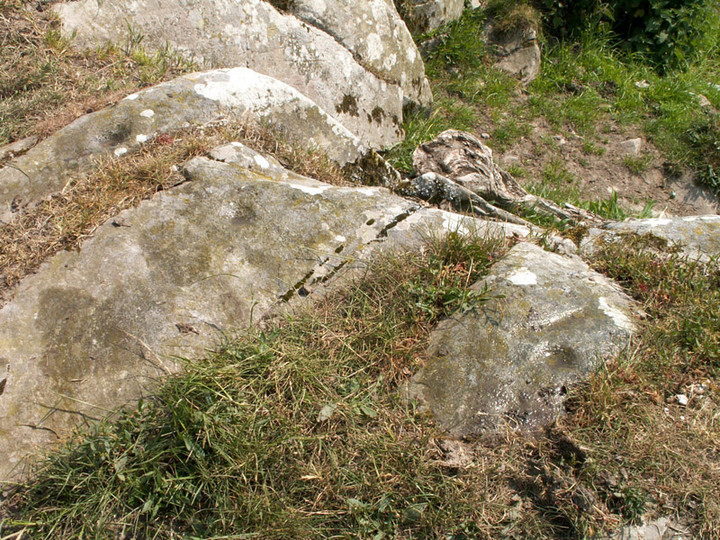 Image of Kirkmabreck (Cup and Ring Marks / Rock Art) by rockartwolf