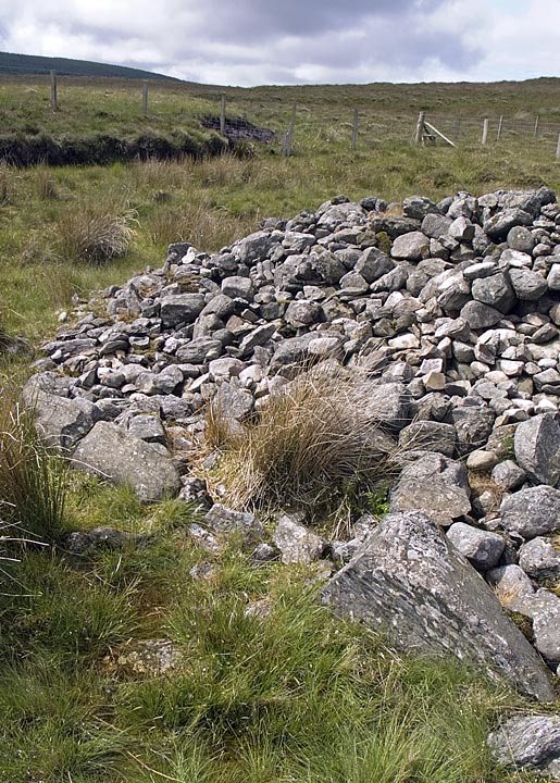 Image of Ballyvennaght (Cairn(s)) by minipixel
