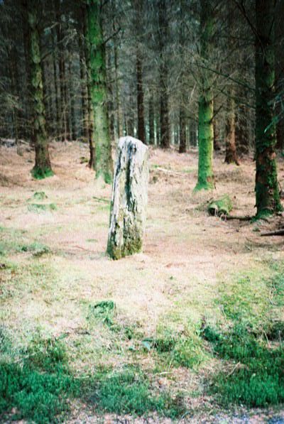 Image of Cerrig y Cledd (Standing Stone / Menhir) by Idwal