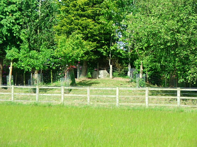 Image of Seven Lows (Barrow / Cairn Cemetery) by postman