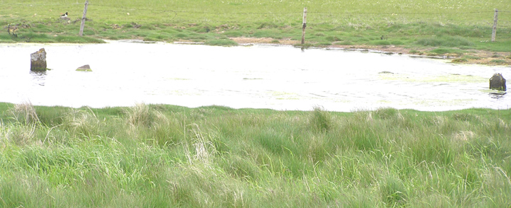 Image of Eves Howe (Broch) by wideford