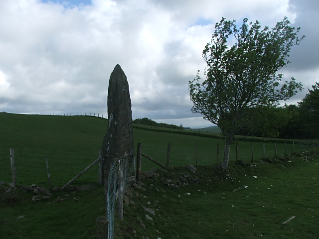 Image of Hirfaen Gwyddog (Standing Stone / Menhir) by postman