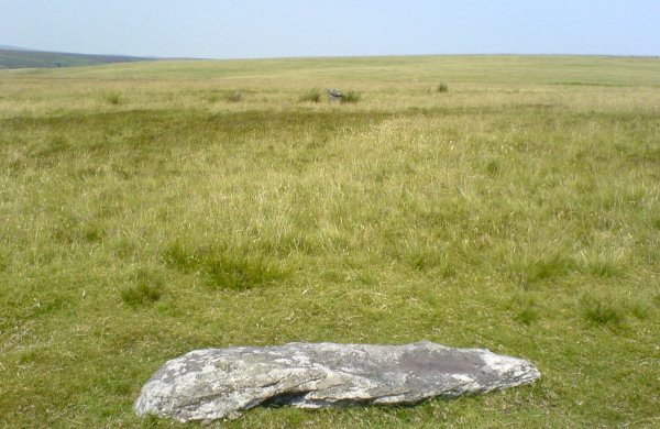 Image of Porlock Stone Circle by juamei