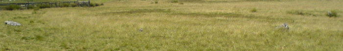 Image of Porlock Stone Circle by juamei