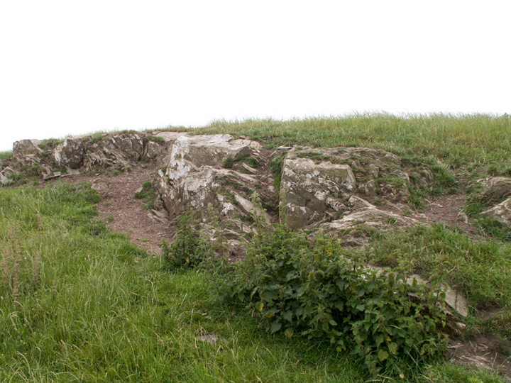 Image of Clauchendolly (Cup and Ring Marks / Rock Art) by rockartwolf