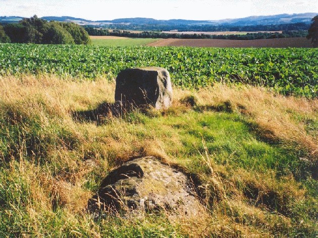 Image of Colen Wood Stone Circle by Martin