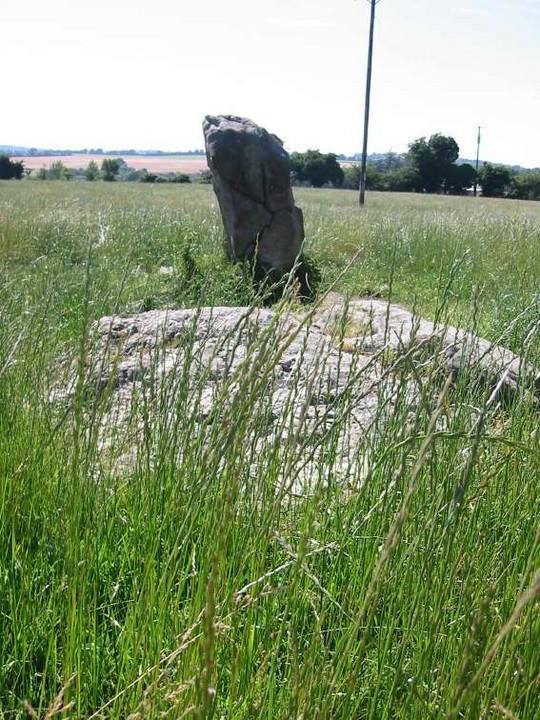 Image of Tombeagh (Standing Stone / Menhir) by ryaner