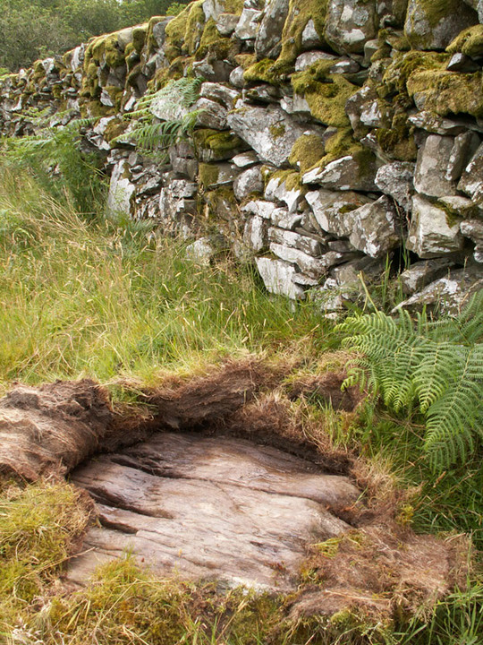 Image of Upper Newton 3 (Cup Marked Stone) by rockartwolf