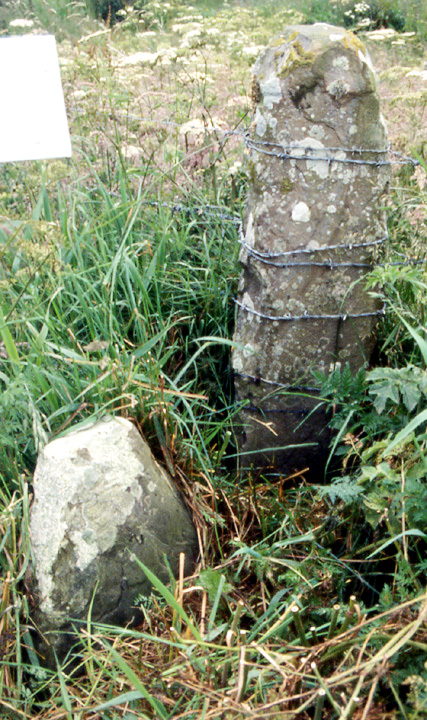 Image of Maesquoy (Standing Stones) by wideford