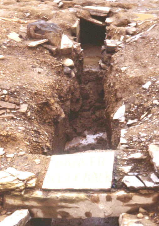 Image of The Howe (Passage Grave) by wideford