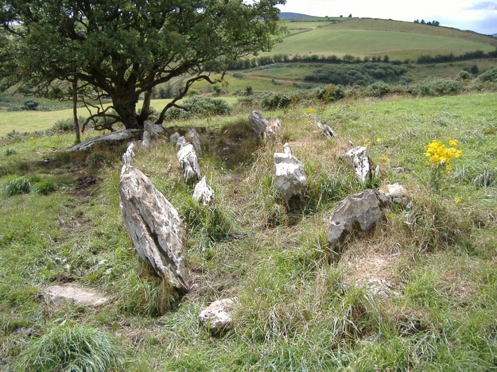 Image of Knockcurraghbola Crowlands (west) (Wedge Tomb) by bawn79