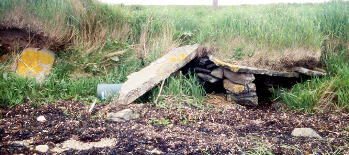 Image of St. Peter’s Bay (Broch) by wideford