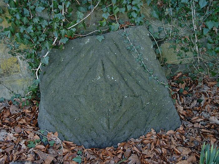 Image of PRAWR 208 (Adel) (Carving) by Chris Collyer