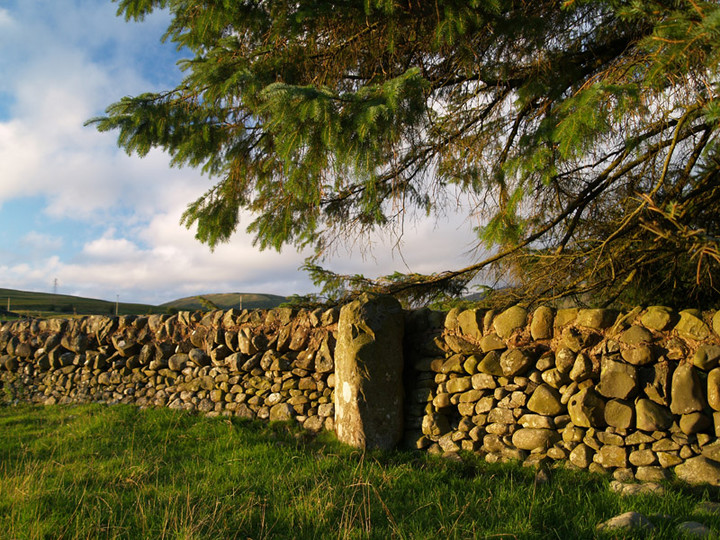 Image of Holm of Daltallochan (Standing Stone / Menhir) by rockartwolf