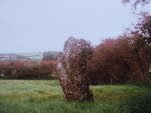 Image of Carreg Leidr (Standing Stone / Menhir) by postman