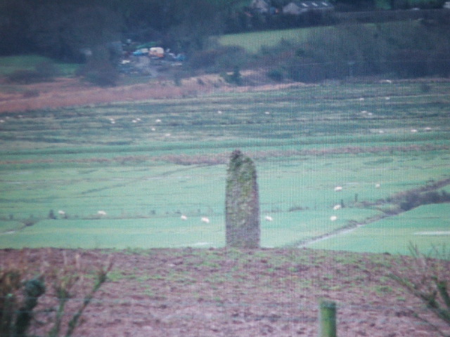Image of Llangristiolus (Standing Stone / Menhir) by postman