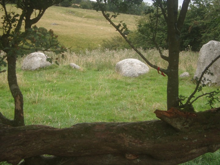 Image of Athgreany (Stone Circle) by Vicster