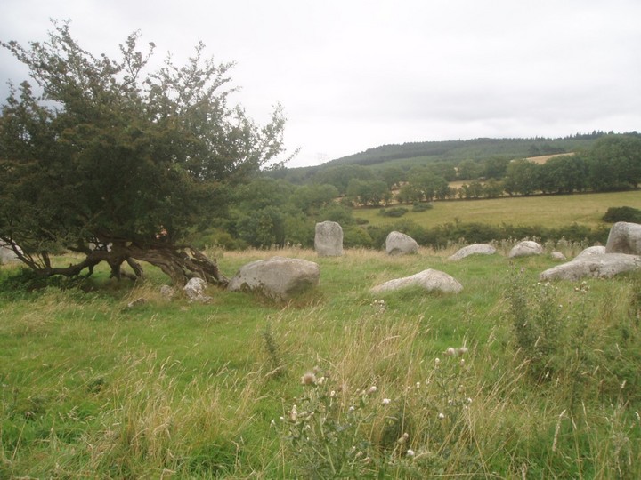 Image of Athgreany (Stone Circle) by Vicster