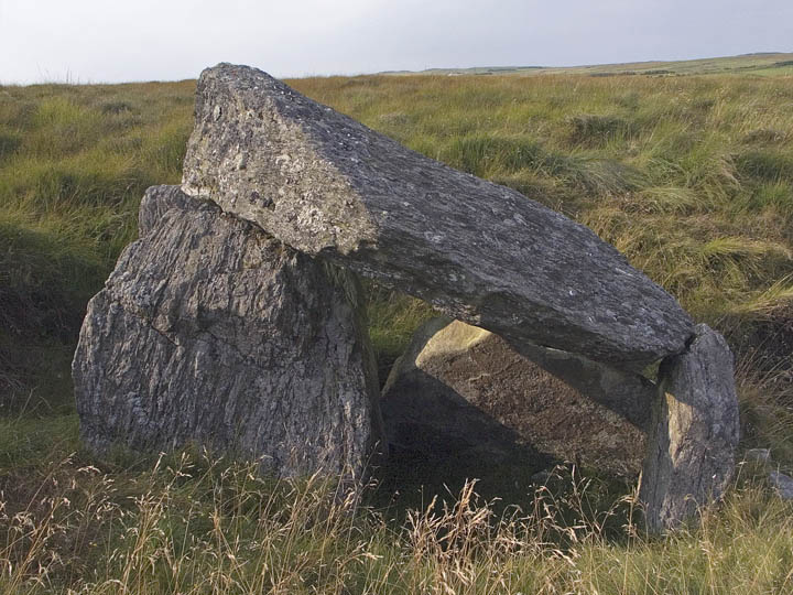 Image of Ballyvennaght (Portal Tomb) by minipixel