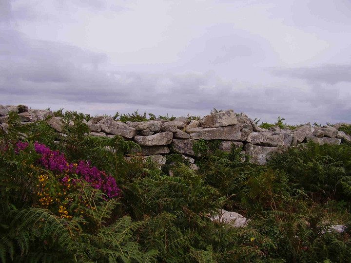 Image of Chûn Castle (Hillfort) by Cursuswalker
