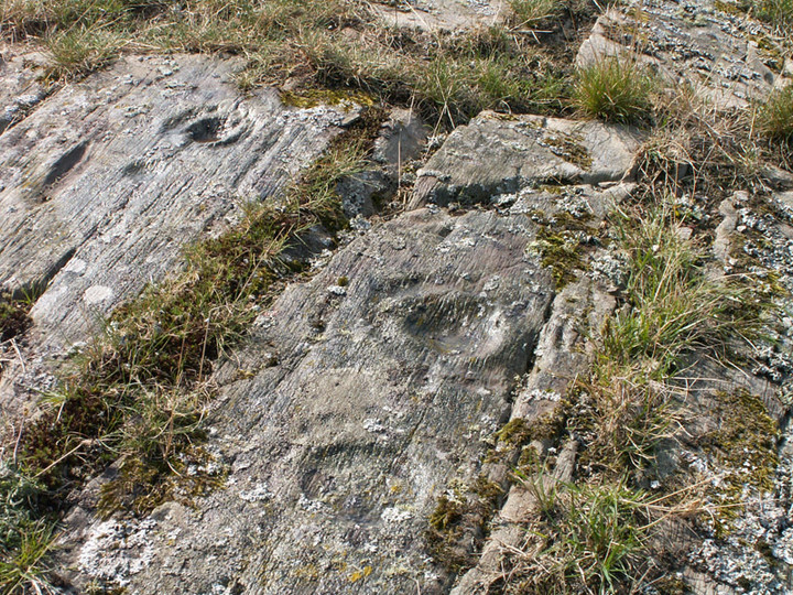 Image of Glasserton Mains (Cup and Ring Marks / Rock Art) by rockartwolf