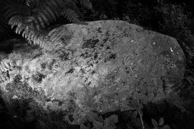 Image of Glenmoine (Cup and Ring Marks / Rock Art) by Hob